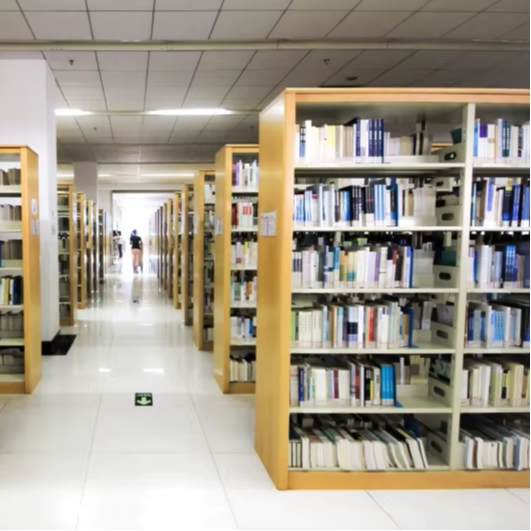 Home Office And Library - Estantes para libros de doble cara,