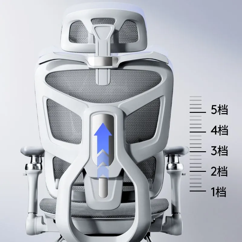 Silla Ergonómica para Computad - Home Office Ergonomics reseña y precio